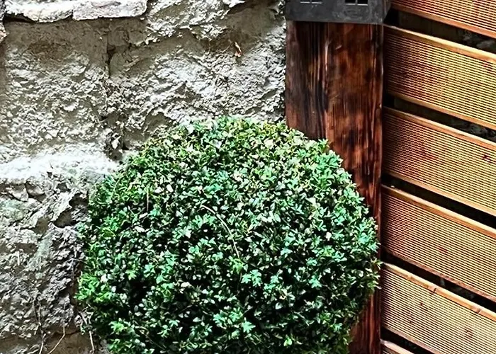 Appartement Kazinczy In Vibrant Area