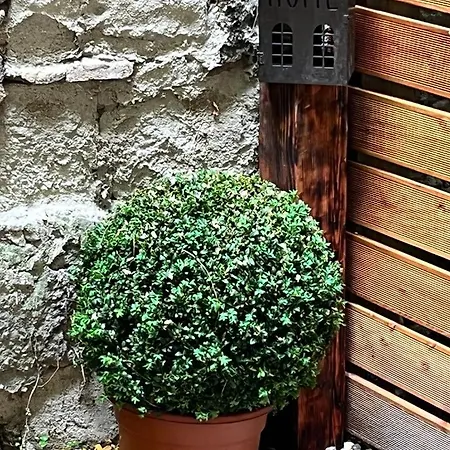 Apartment Kazinczy